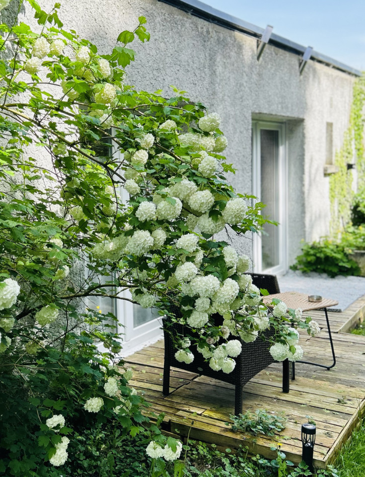 La maison du jardin