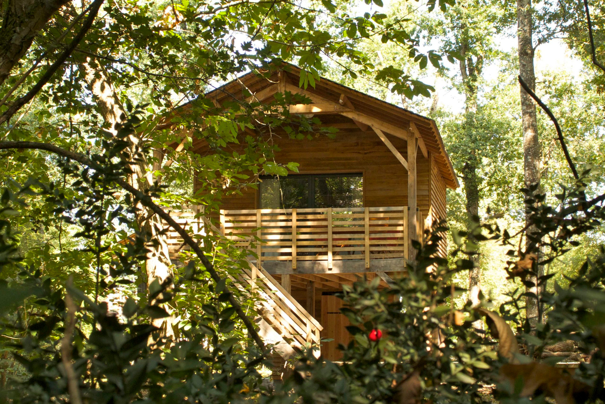 orderedImageAlt_accommodation_default