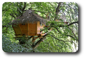 orderedImageAlt_accommodation_default