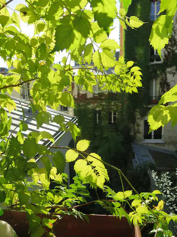 Un paradis de charme et de calme