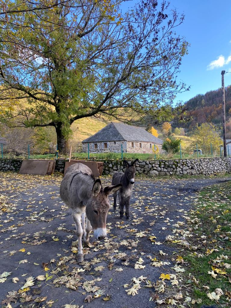 orderedImageAlt_accommodation_default