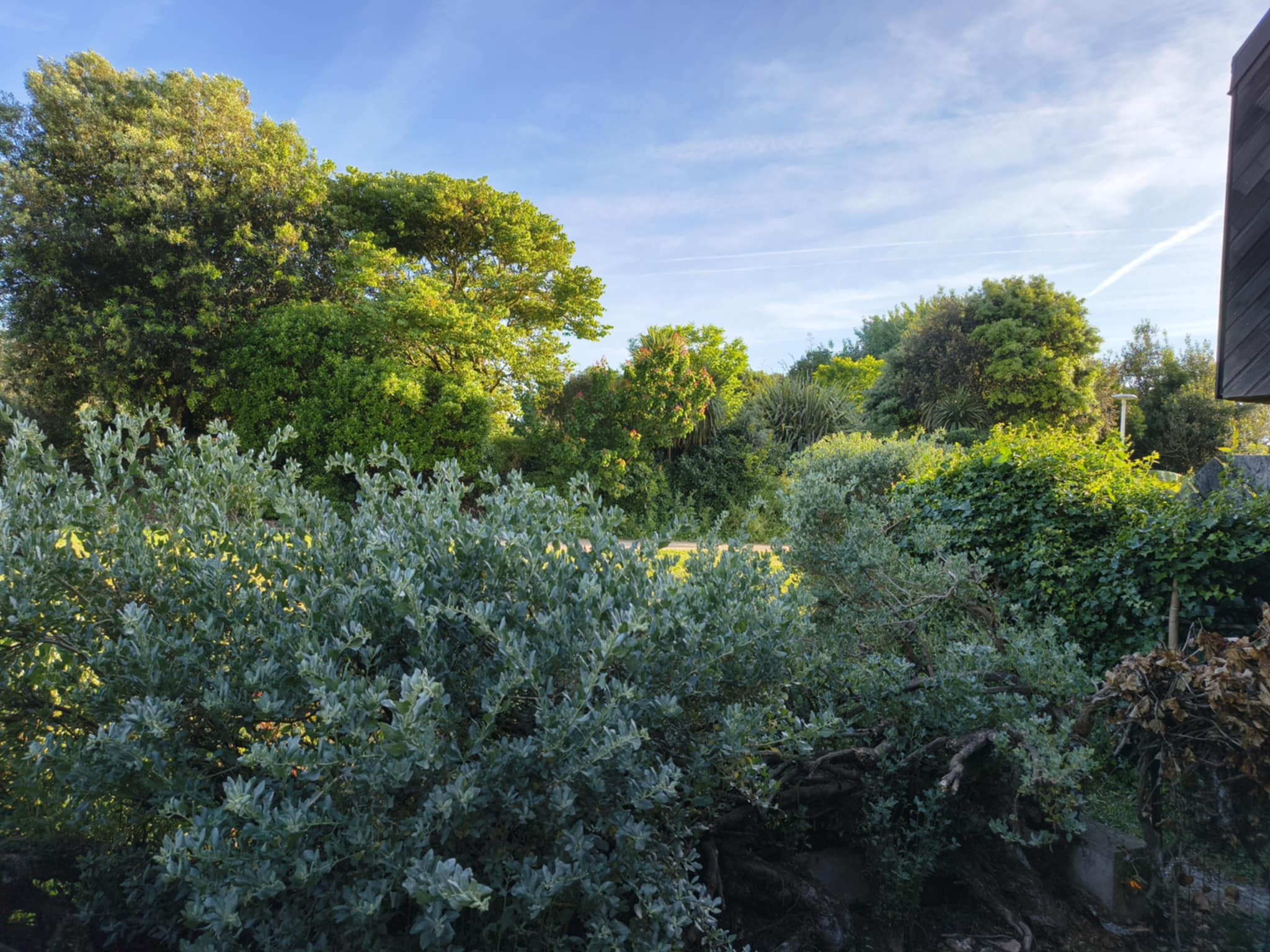 GreenGo Chambre d'Hôtes Sablina, Parc et Plage des Minimes la Rochelle