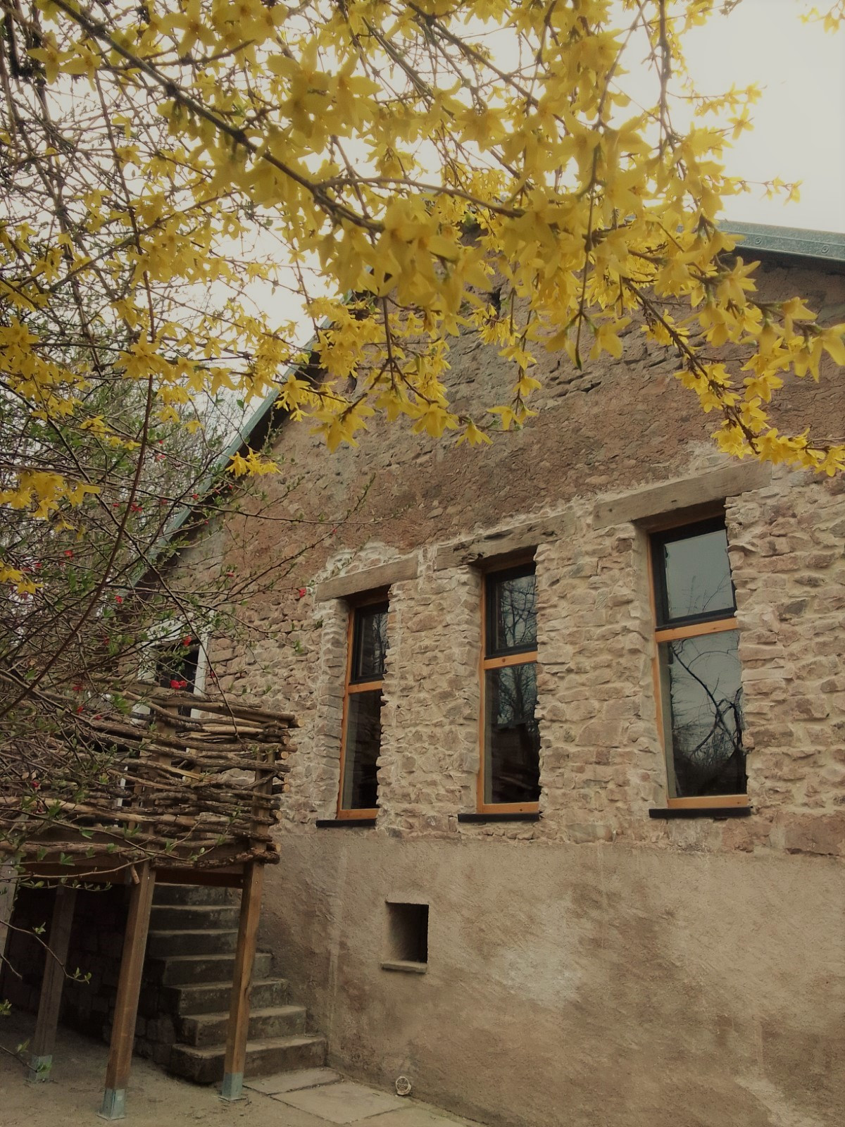 Loft des Noies Parrons