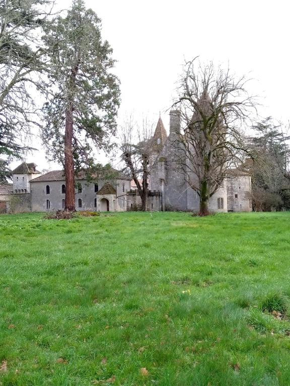 GreenGo Appartement dans un Château Renaissance