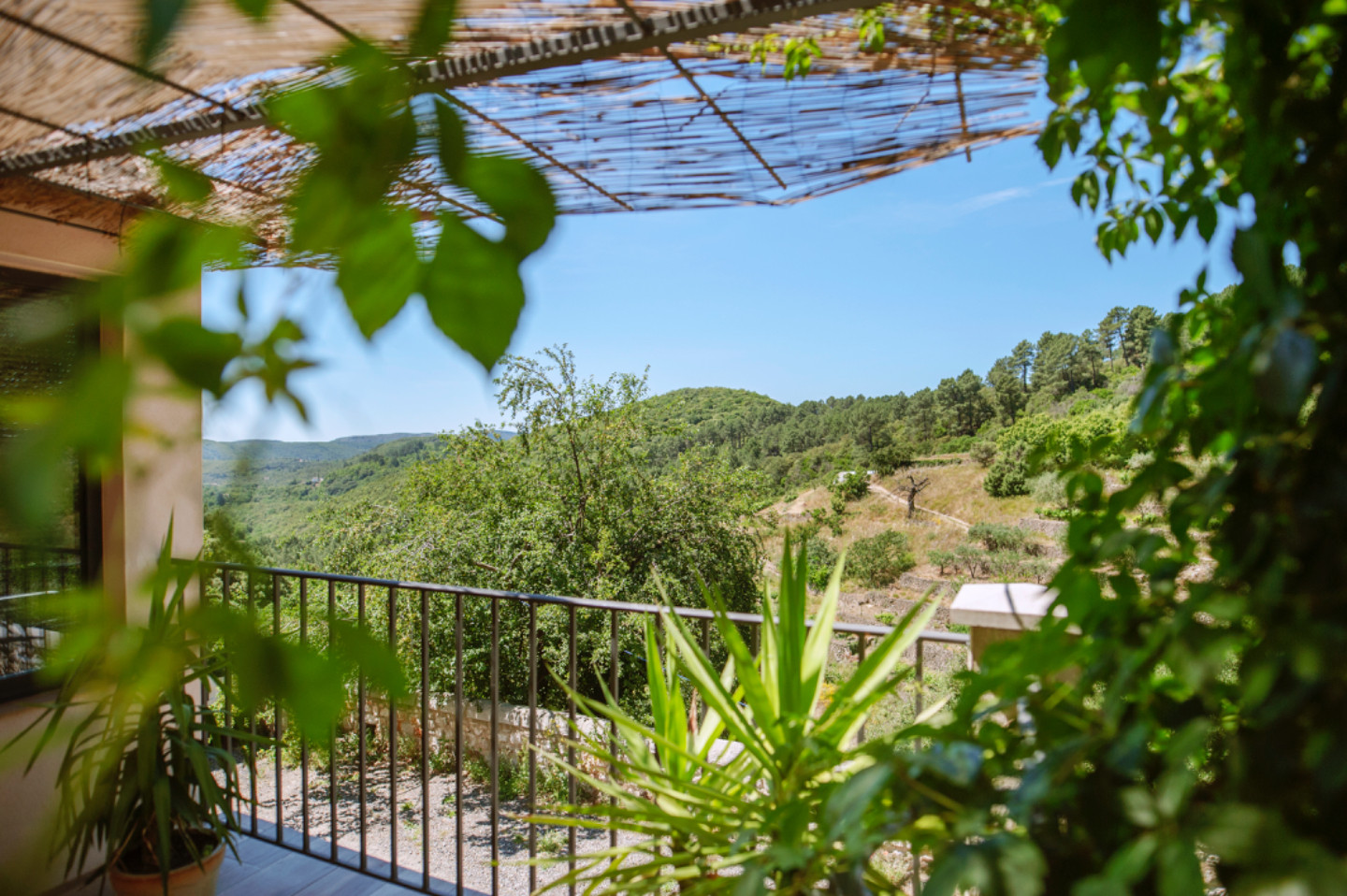 GreenGo Studio indépendant avec terrasse sous tonnelle – un havre de tranquillité en Cévennes