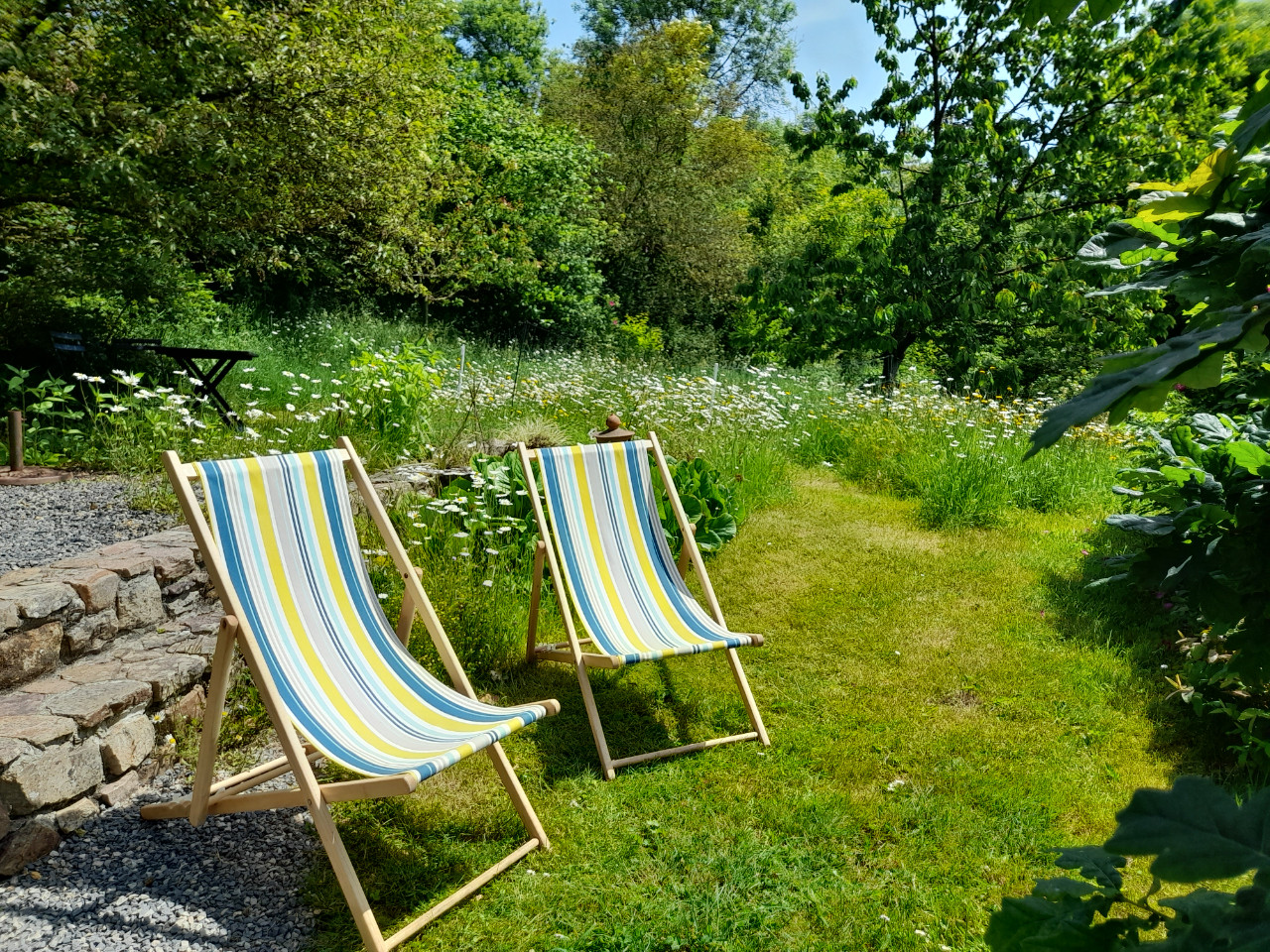 Manche En forêt