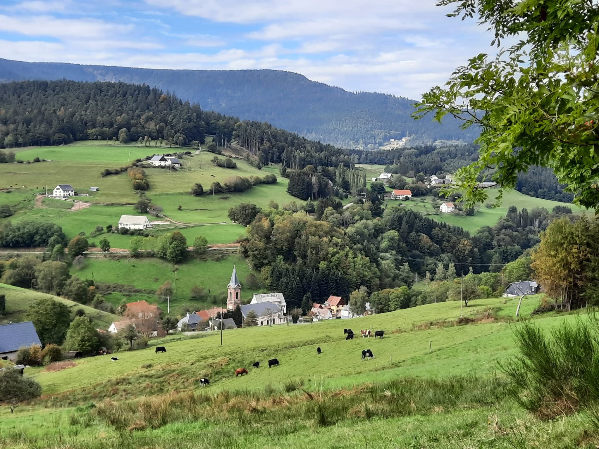 GreenGo location vacances écoresponsables
