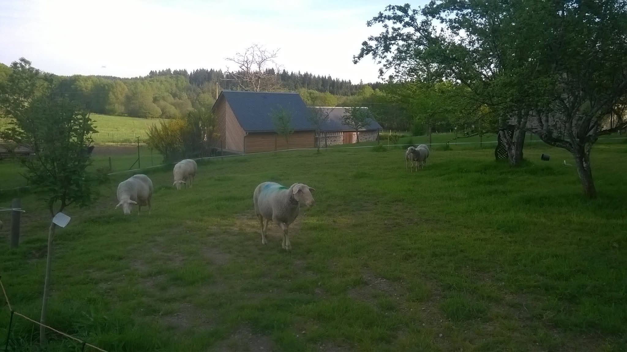 Hôte GreenGo: Au Breuil