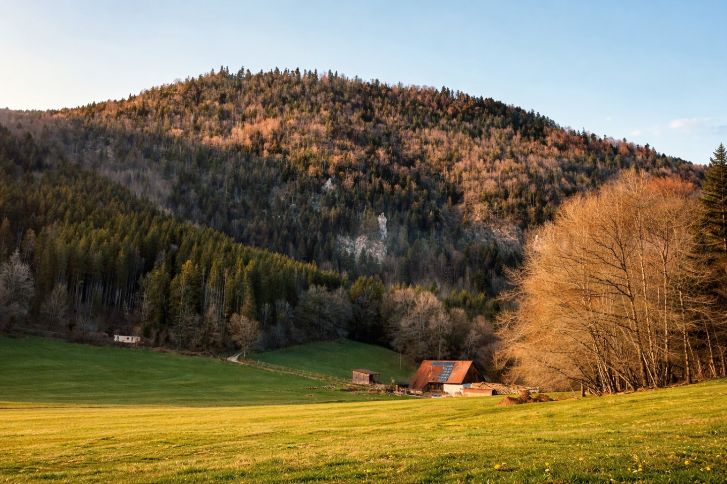 Gîte de Vautrans au coeur de la nature
