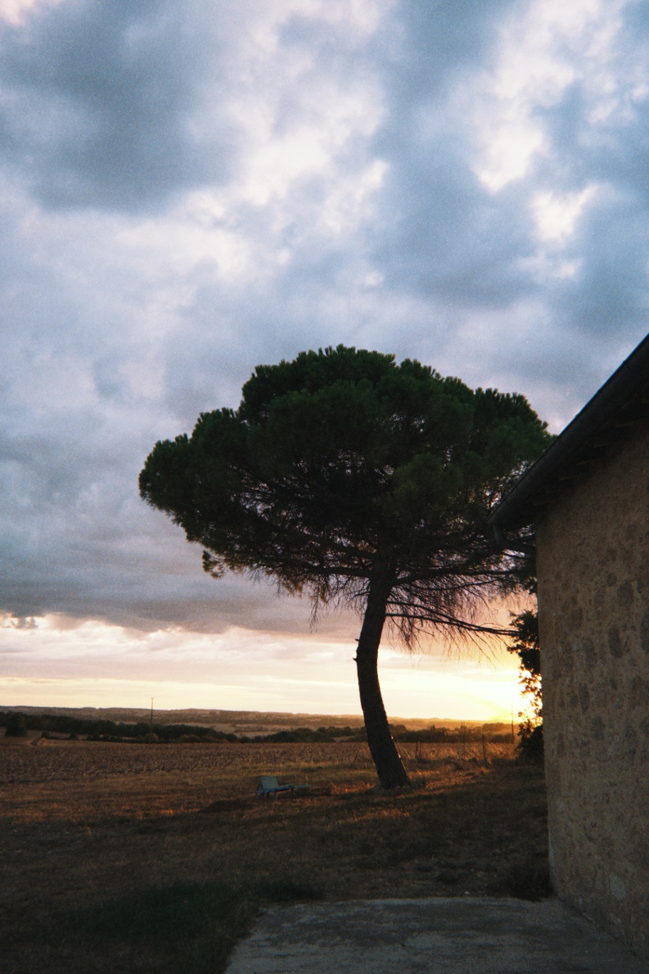 GreenGo location vacances écoresponsables