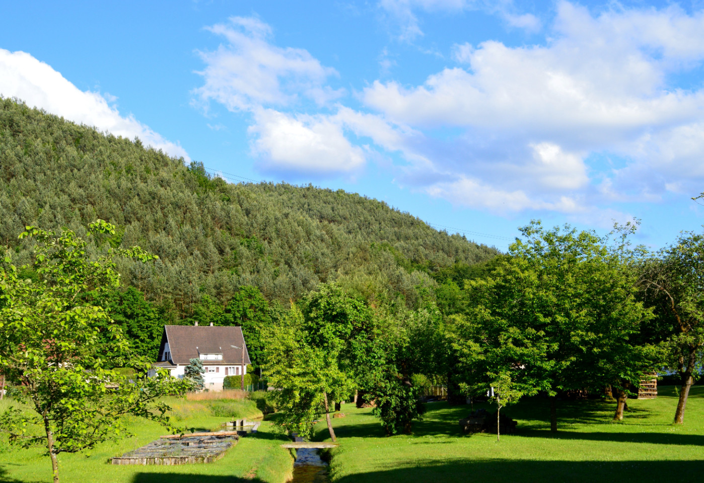 GreenGo location vacances écoresponsables