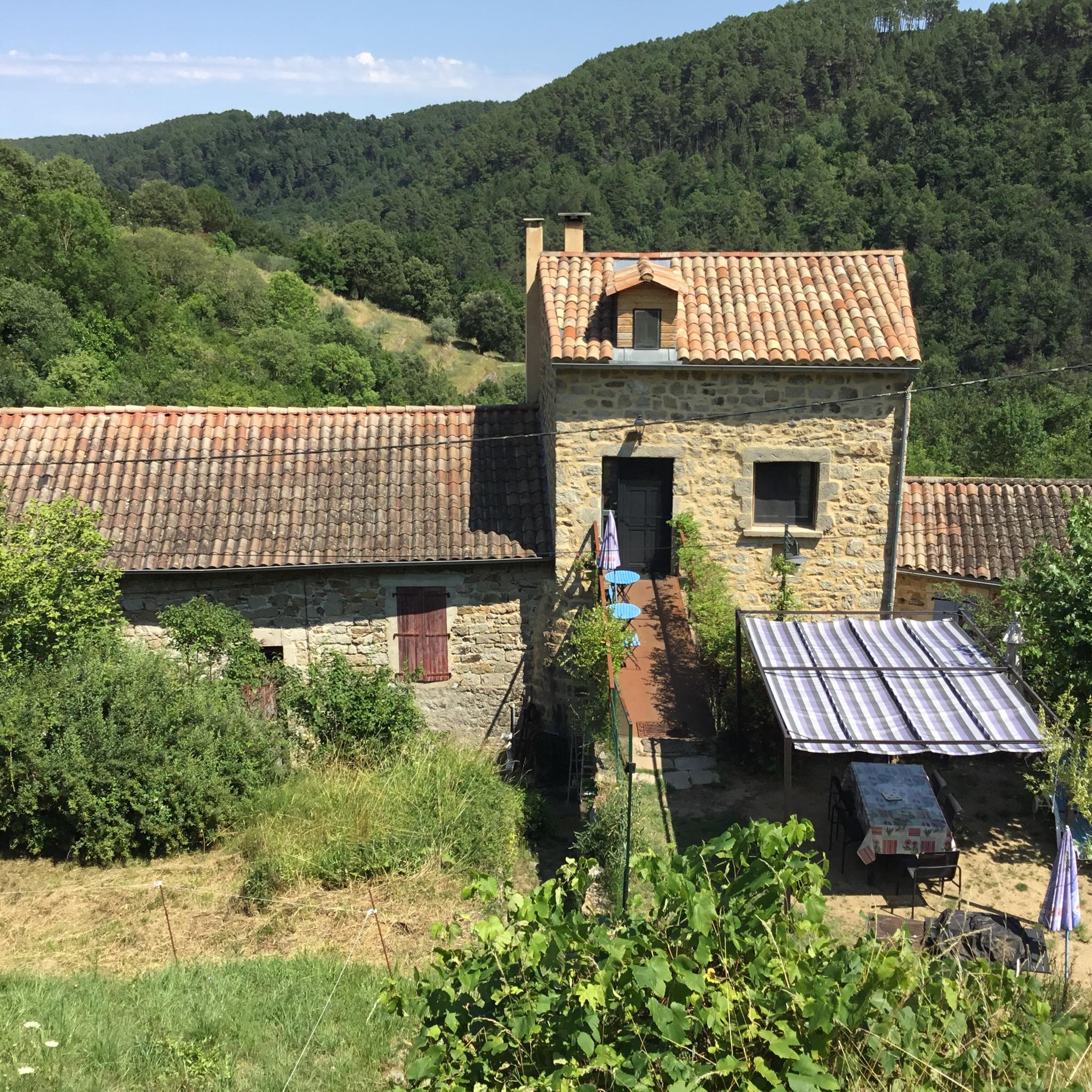 GreenGo Maison de la salamandre