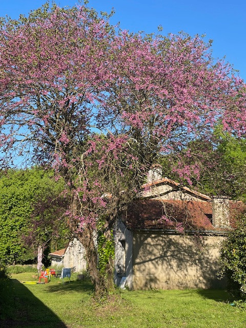GreenGo Gîte Nouvelle-Aquitaine Gîte de groupe