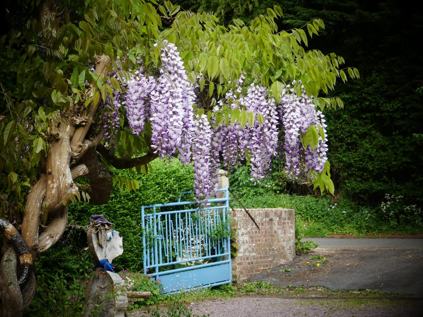 GreenGo Gîte Normandie À la campagne