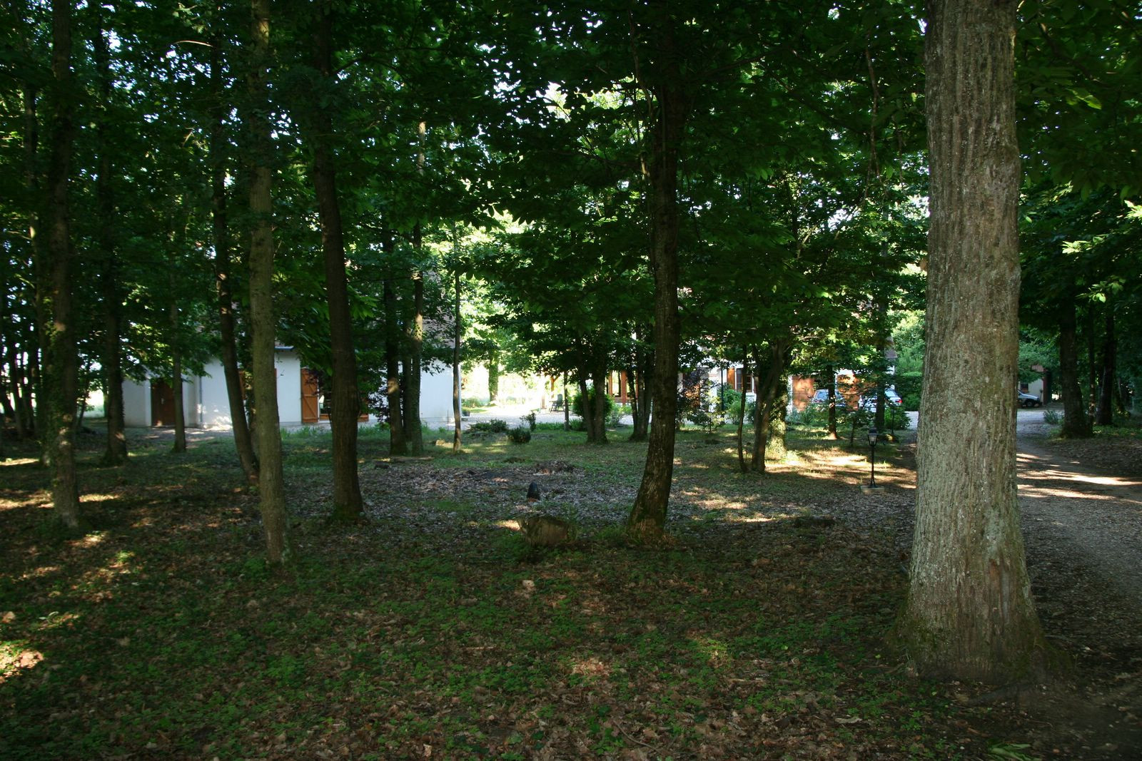 GreenGo location vacances écoresponsables