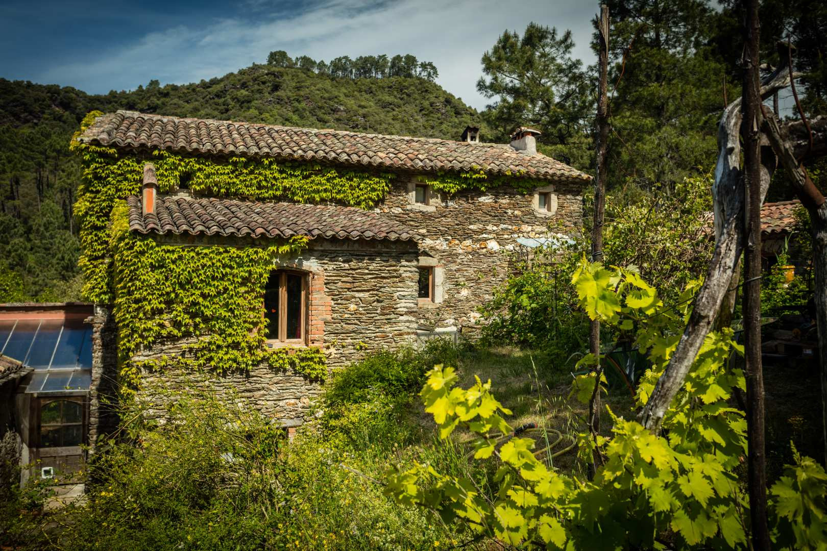 orderedImageAlt_accommodation_default
