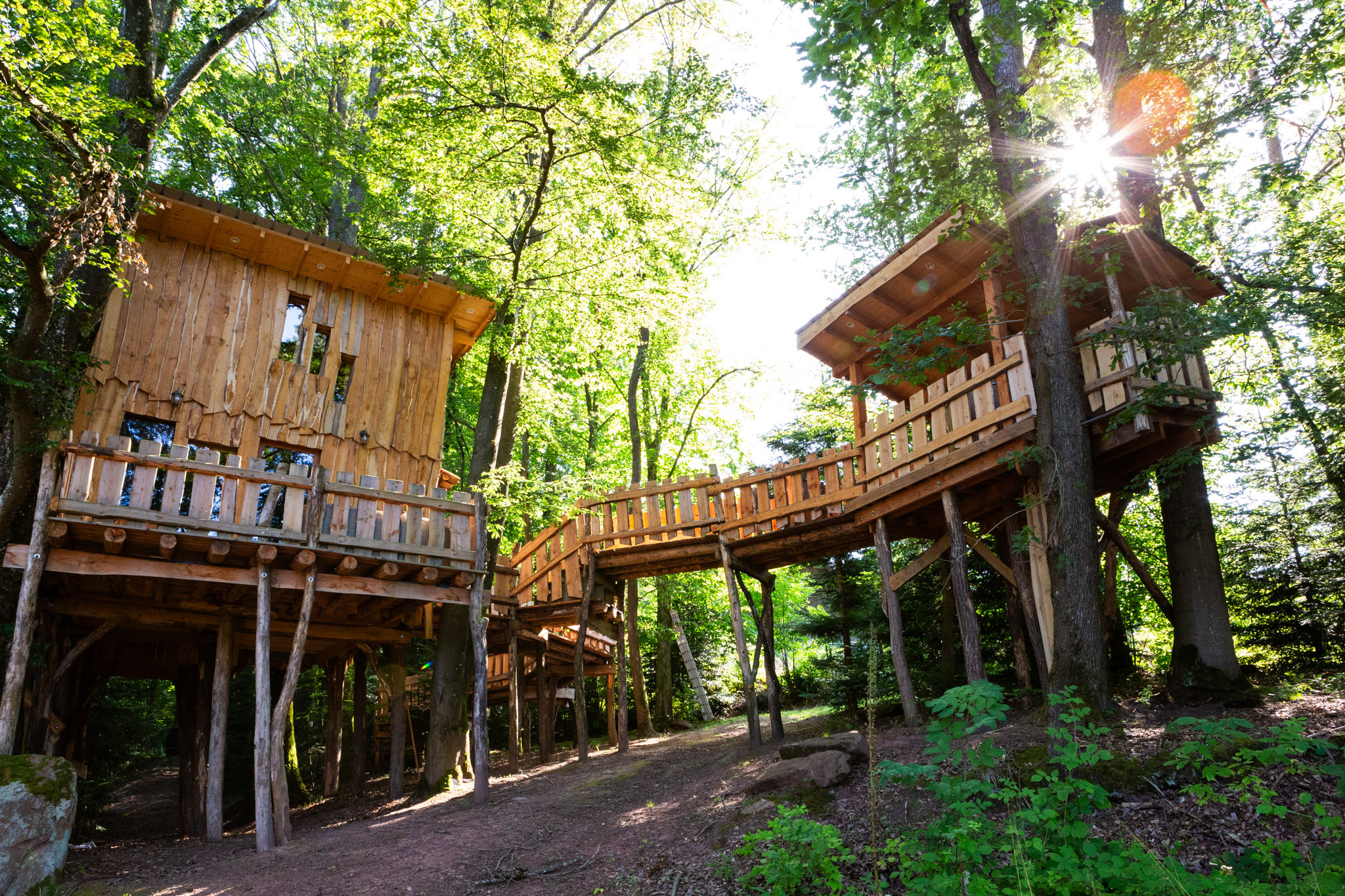 orderedImageAlt_accommodation_default