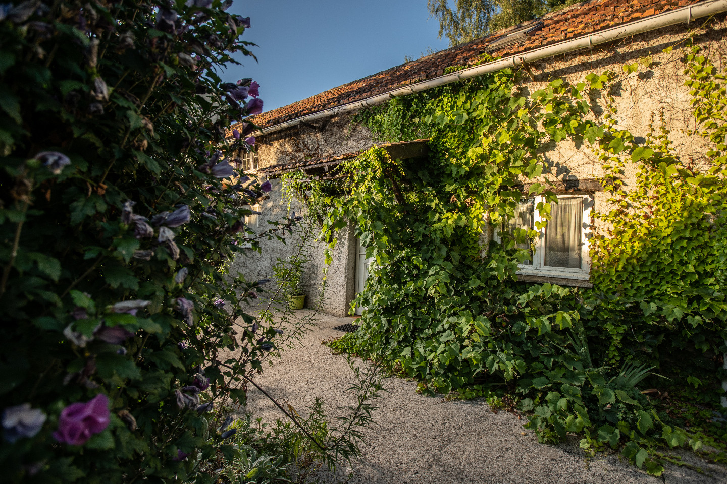 orderedImageAlt_accommodation_default