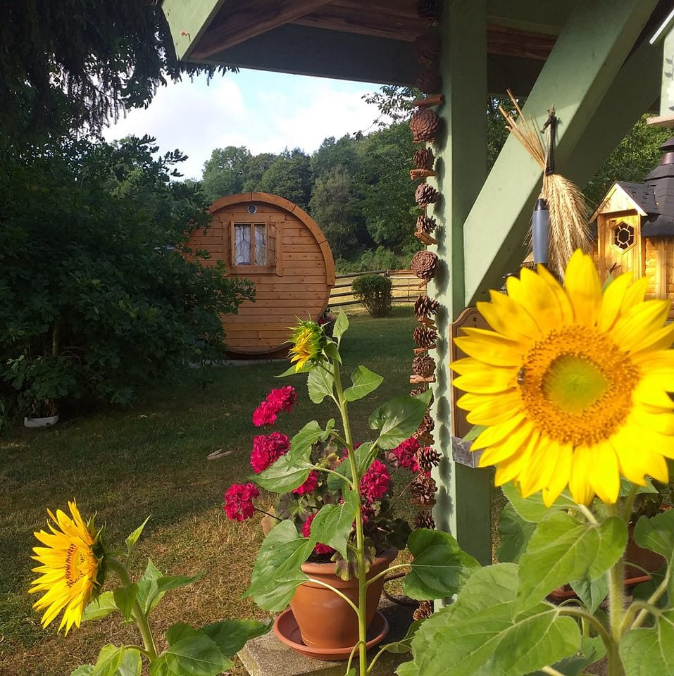 orderedImageAlt_accommodation_default