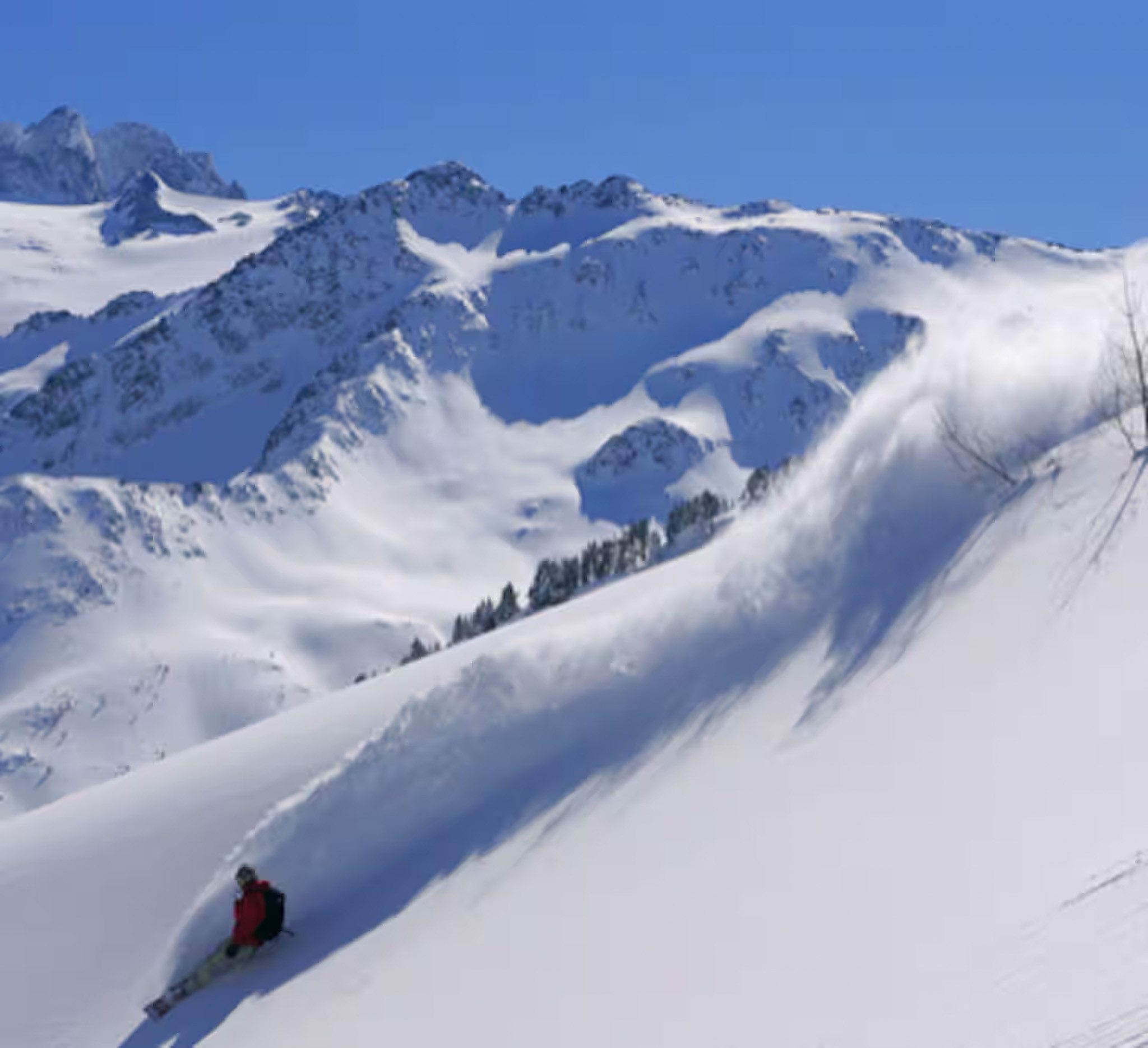 Haute-Savoie En forêt