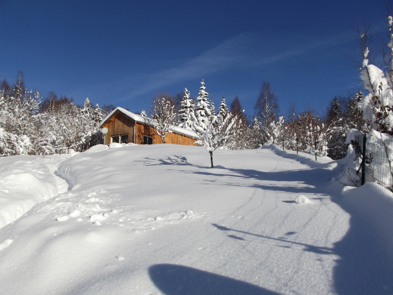 La petite maison des bois