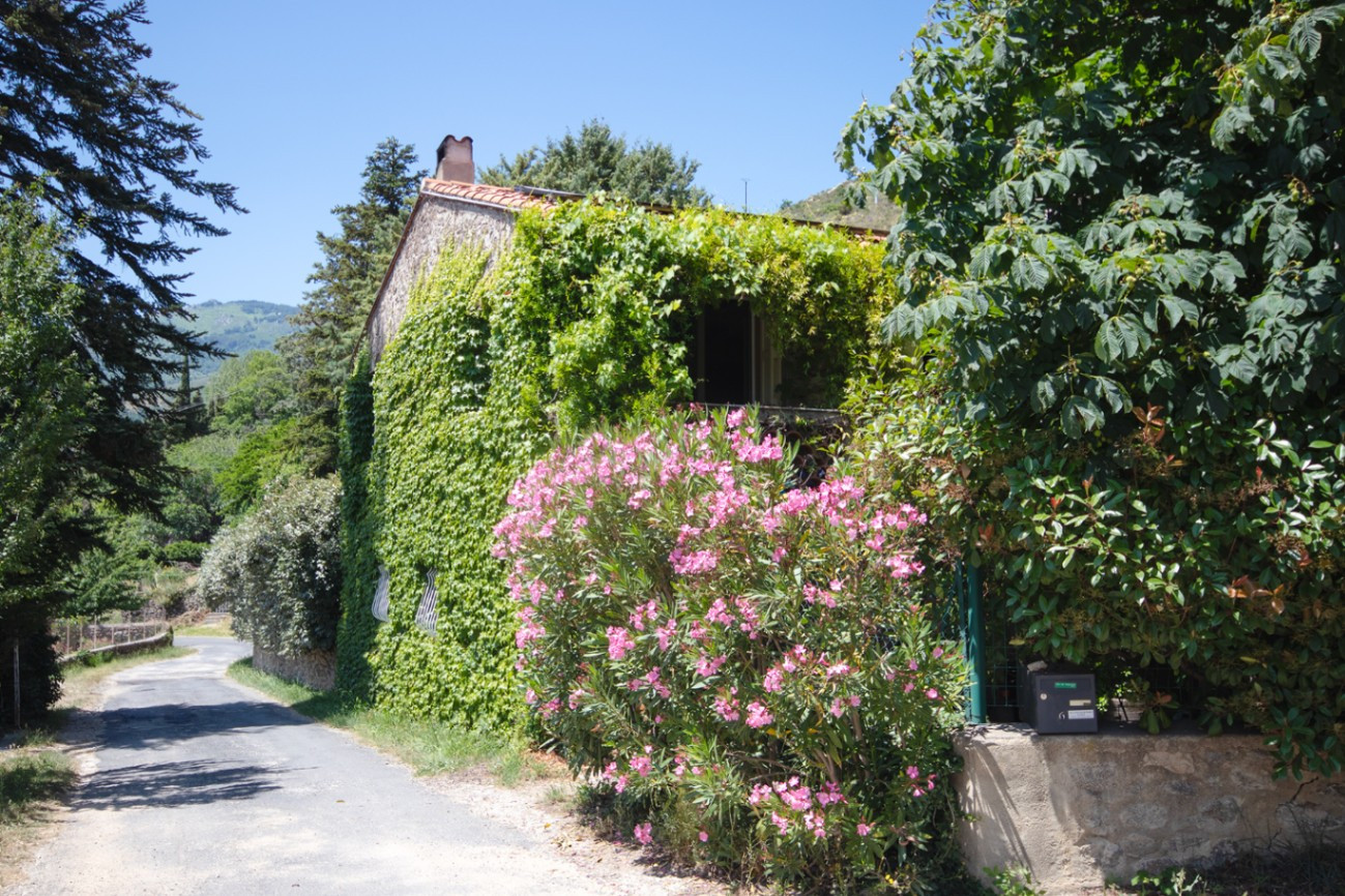 Gite Del Bosc