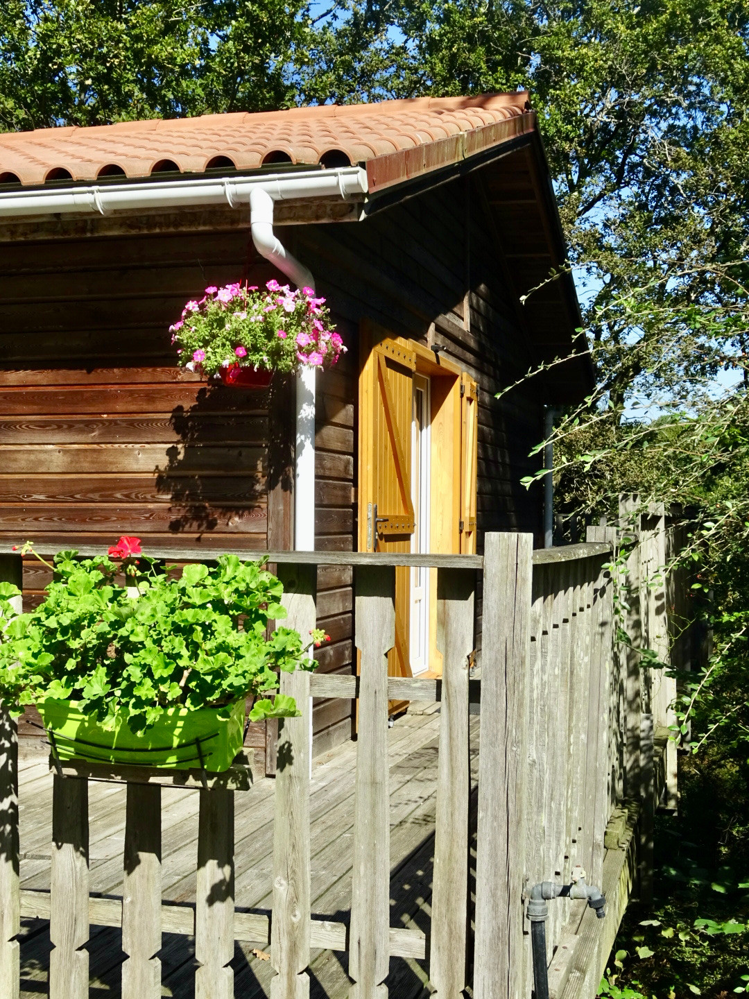 orderedImageAlt_accommodation_default