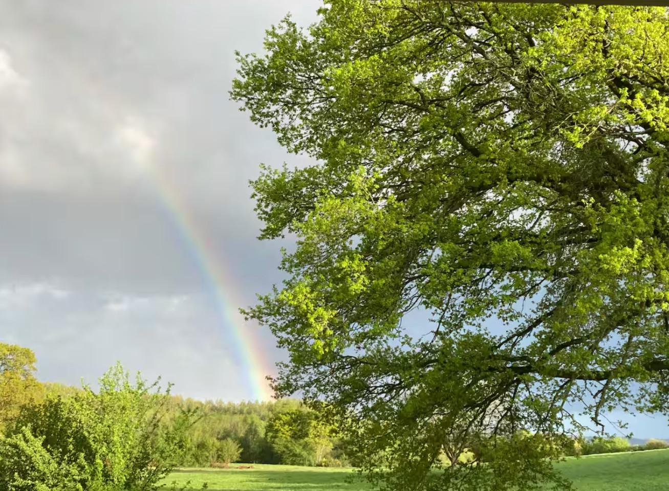 Orne À la campagne