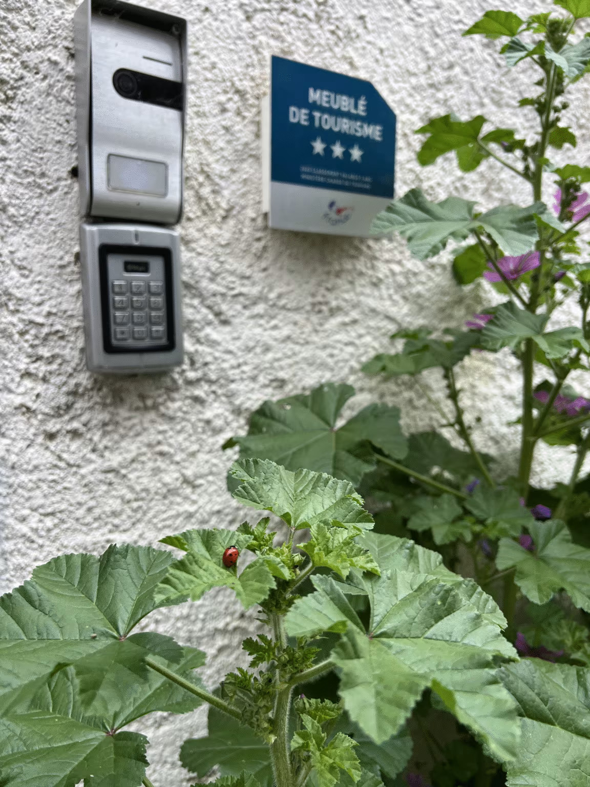 GreenGo Gîte Grand Est En ville