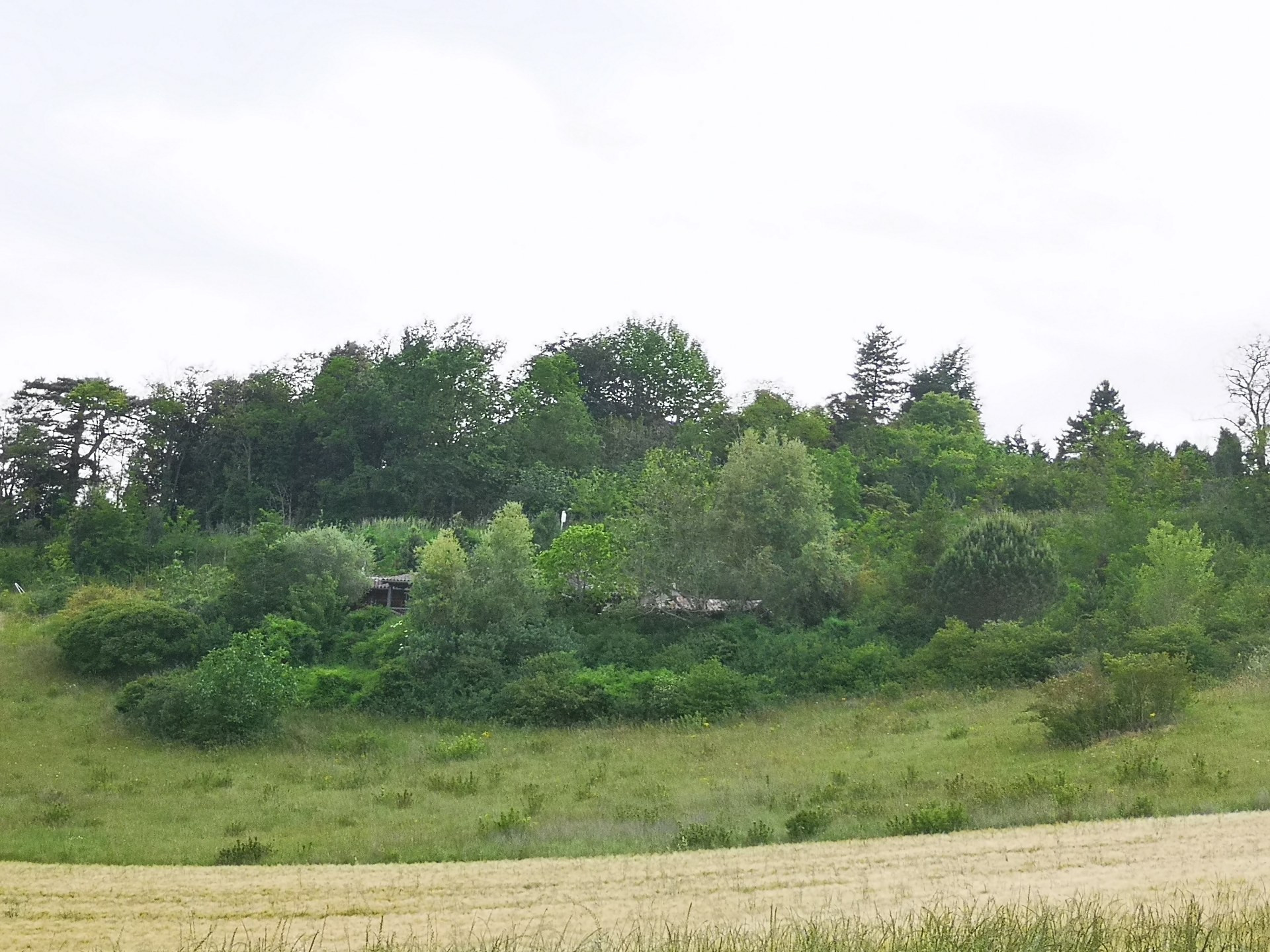 GreenGo Chalet tout en Bois, Havre de paix avec vues, entre Toulouse et Albi