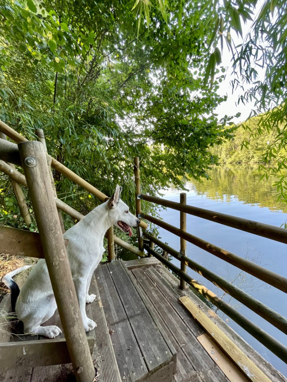 Entre rivière et bambous