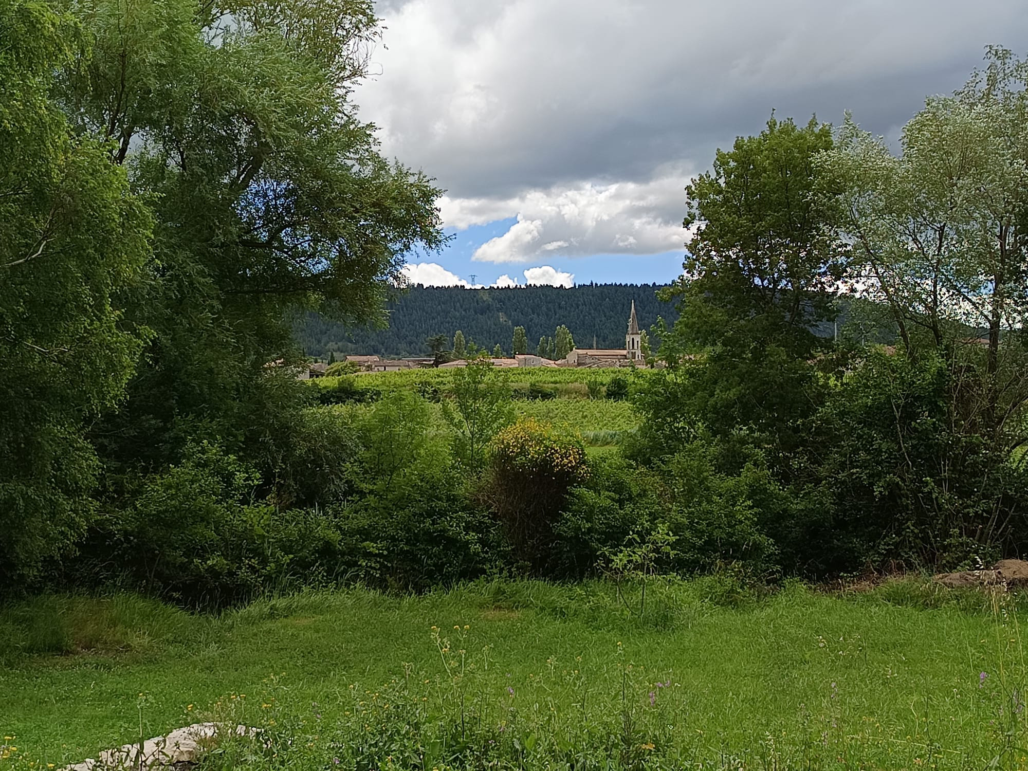 GreenGo Location Auvergne-Rhône-Alpes Évasion