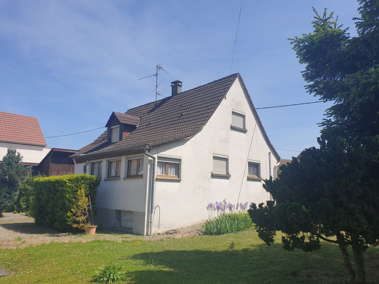 Haut-Rhin Rustique