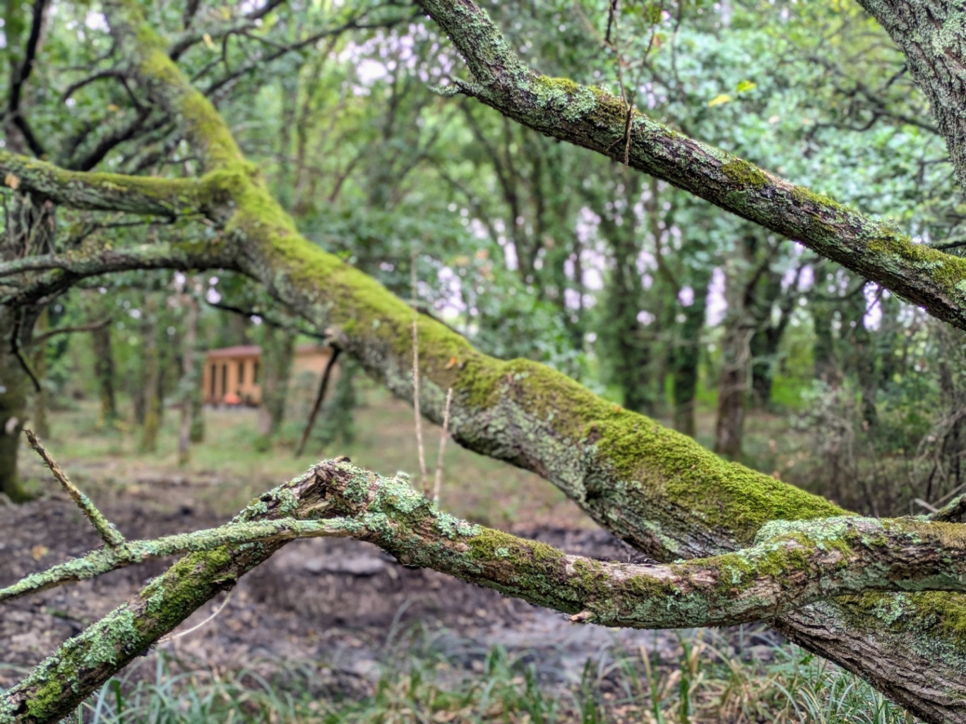 GreenGo La Cabane de Pen Enez
