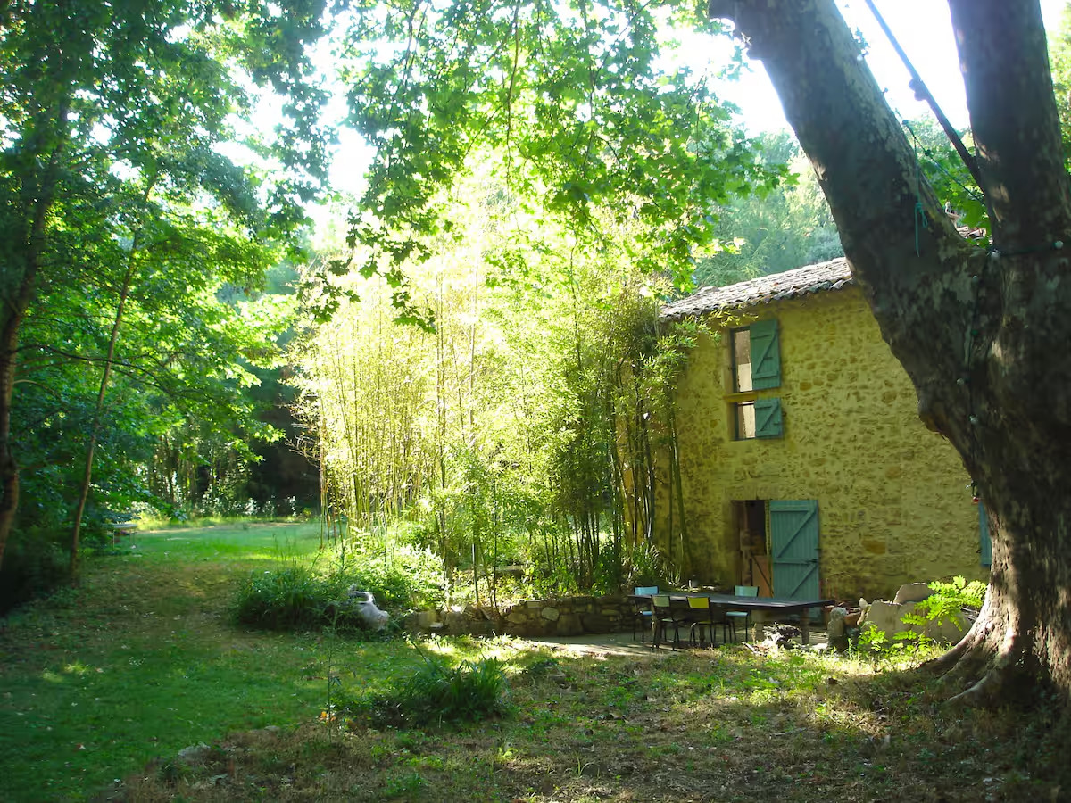 Ancien moulin immergé dans la nature