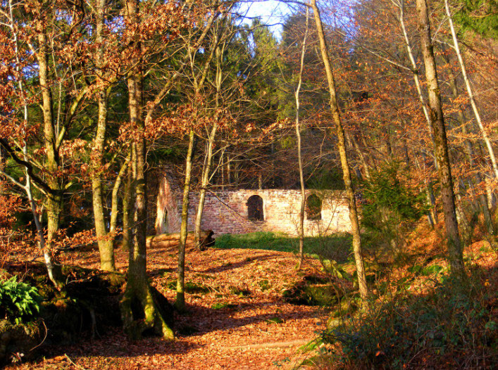 GreenGo location vacances écoresponsables
