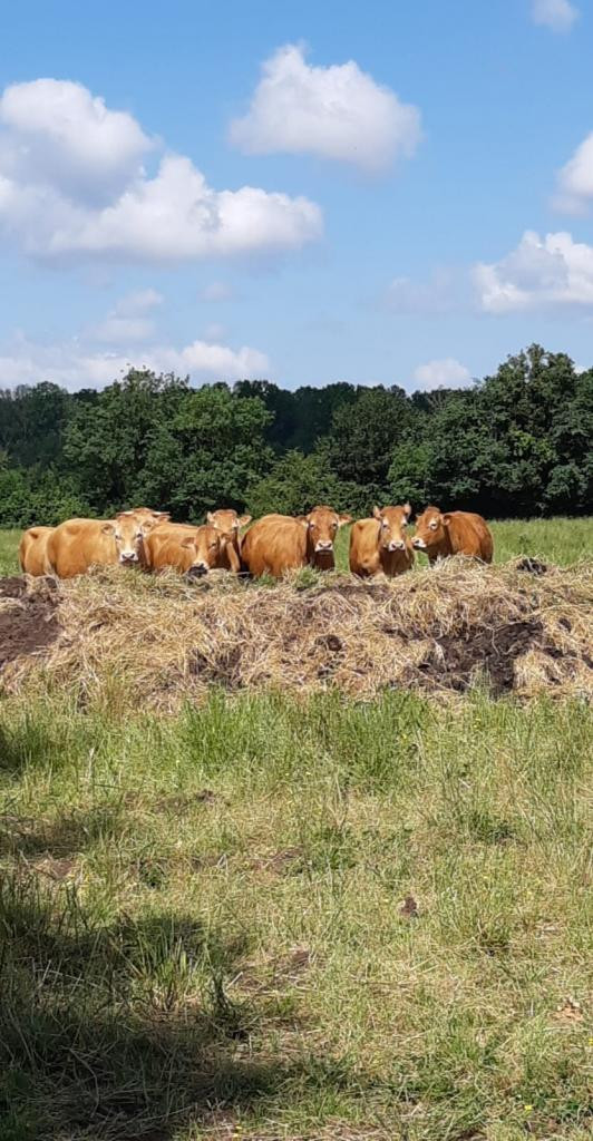 Petite maison au calme à la campagne
