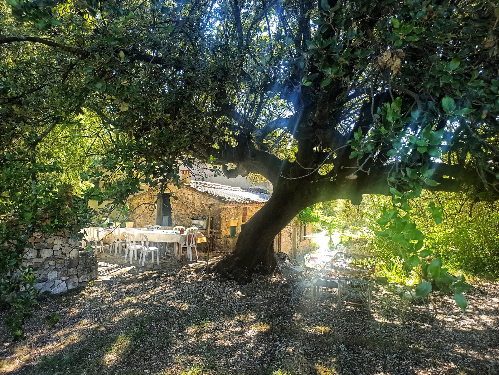 GreenGo location vacances écoresponsables