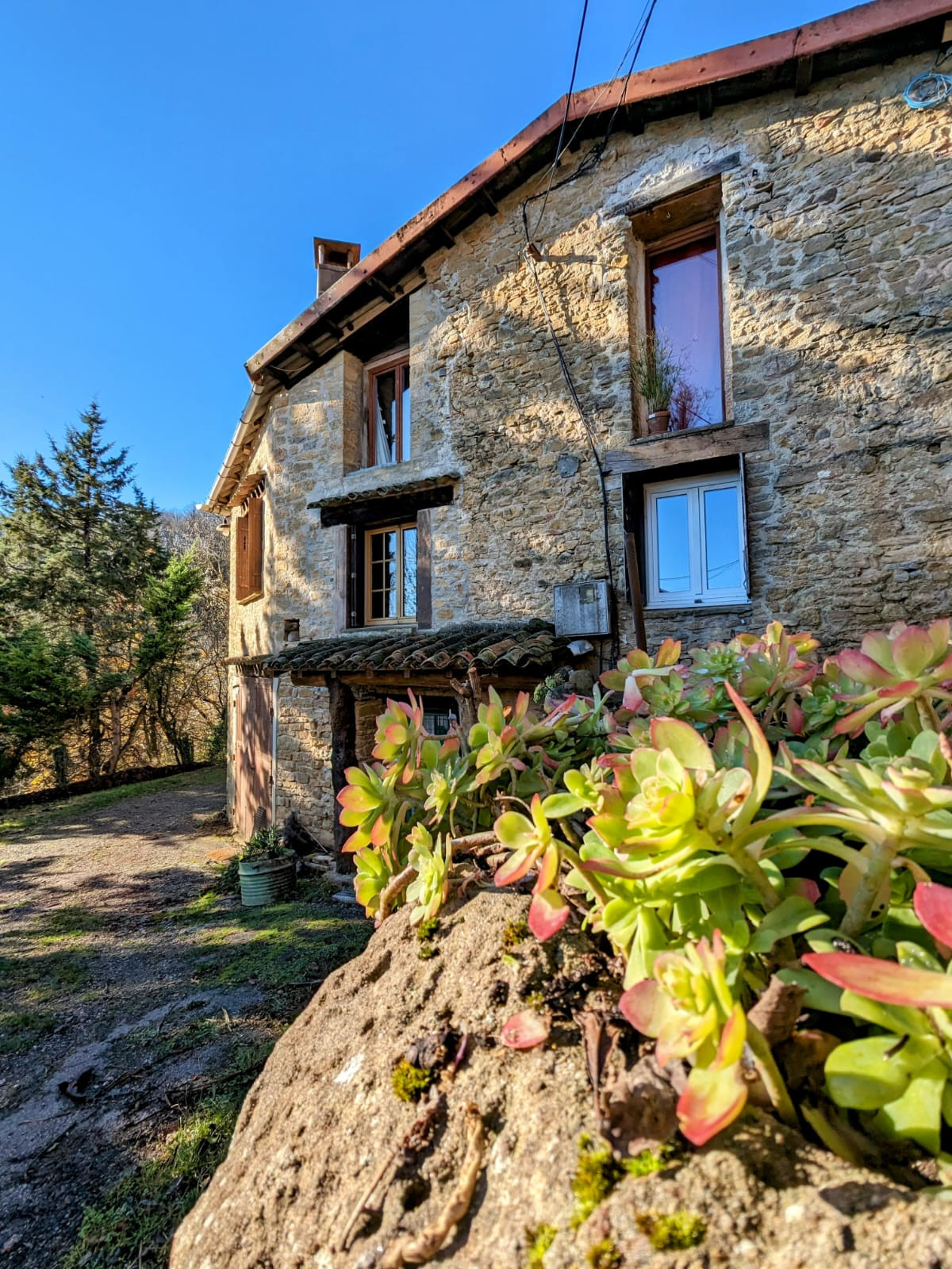GreenGo location vacances écoresponsables