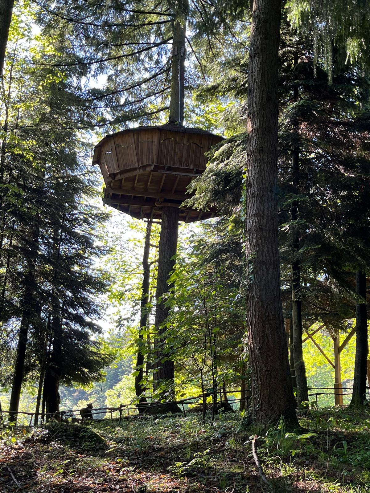 Logement GreenGo: Cabane Ecureuil