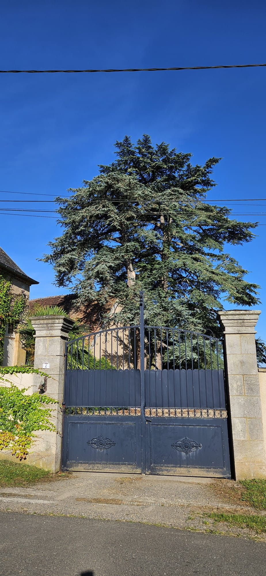 GreenGo Le lodge 18
