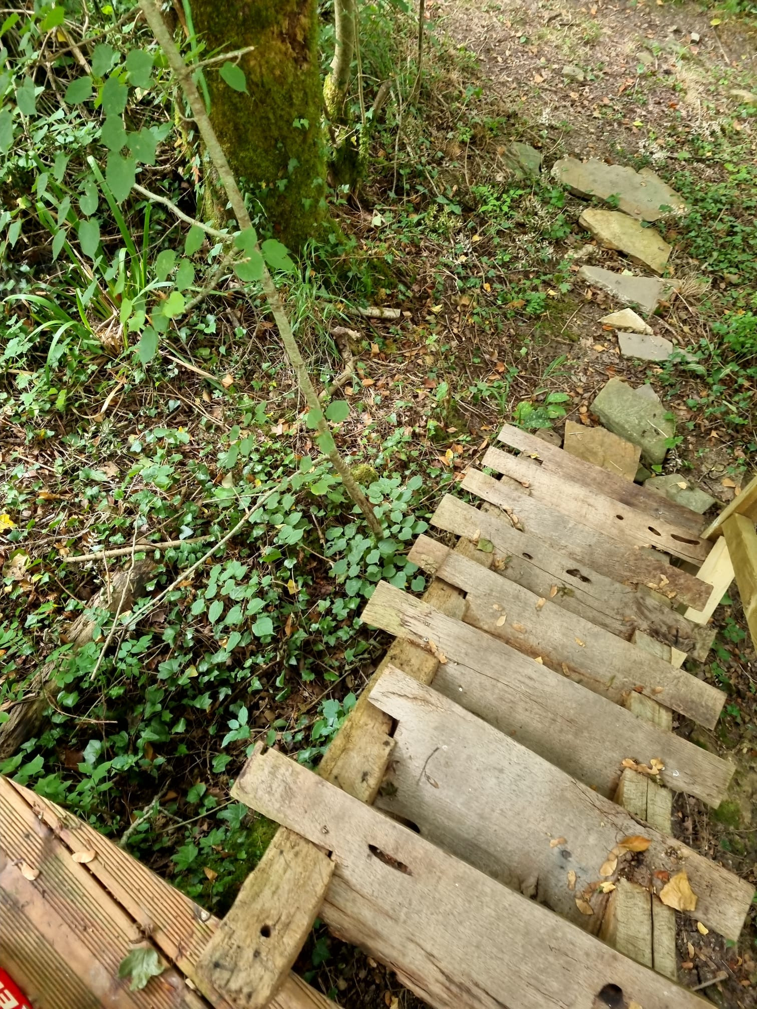 GreenGo Logement insolite Nouvelle-Aquitaine Évasion
