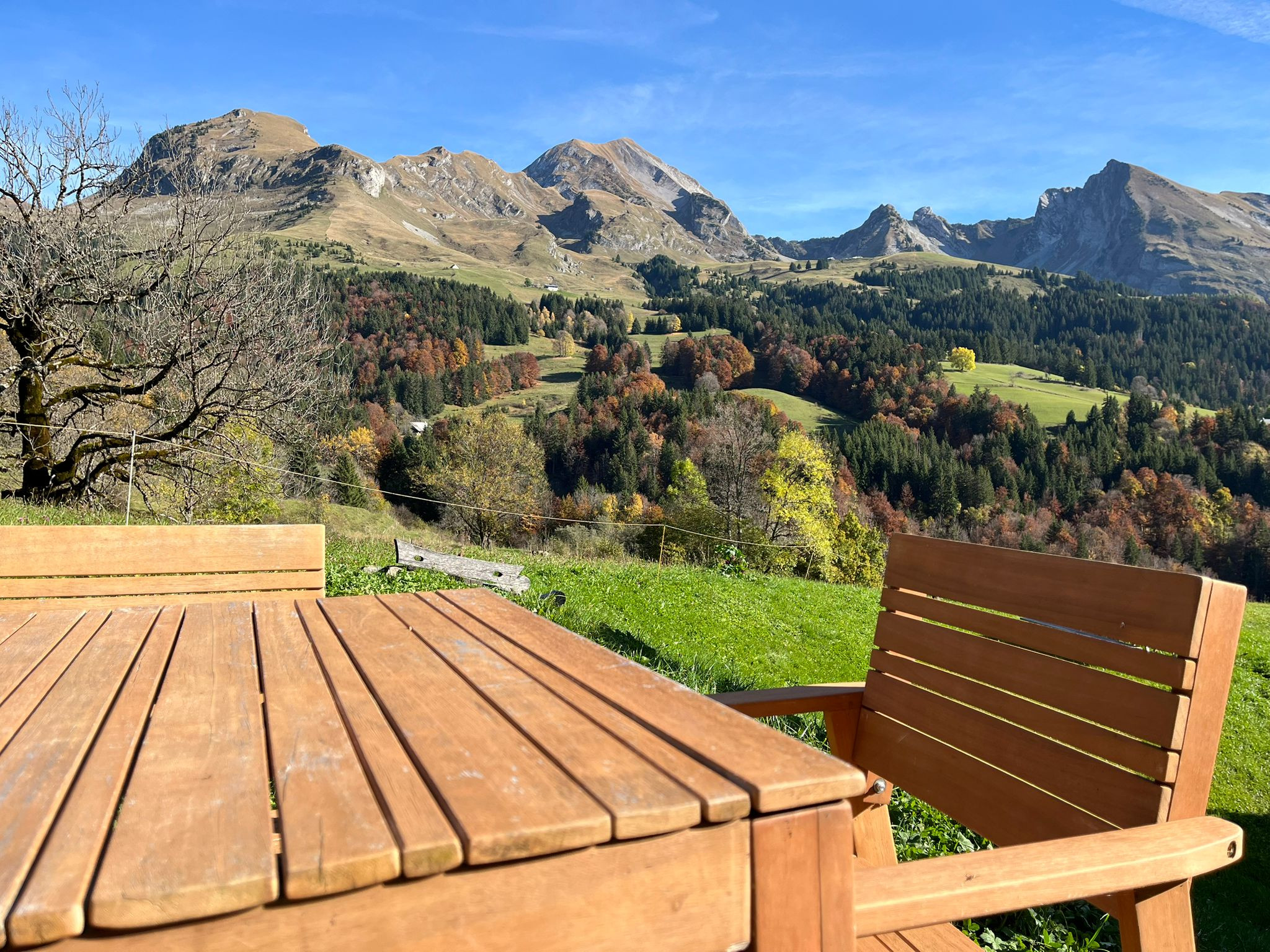 Hôte GreenGo: Chalet / cabane , cadre exceptionnel