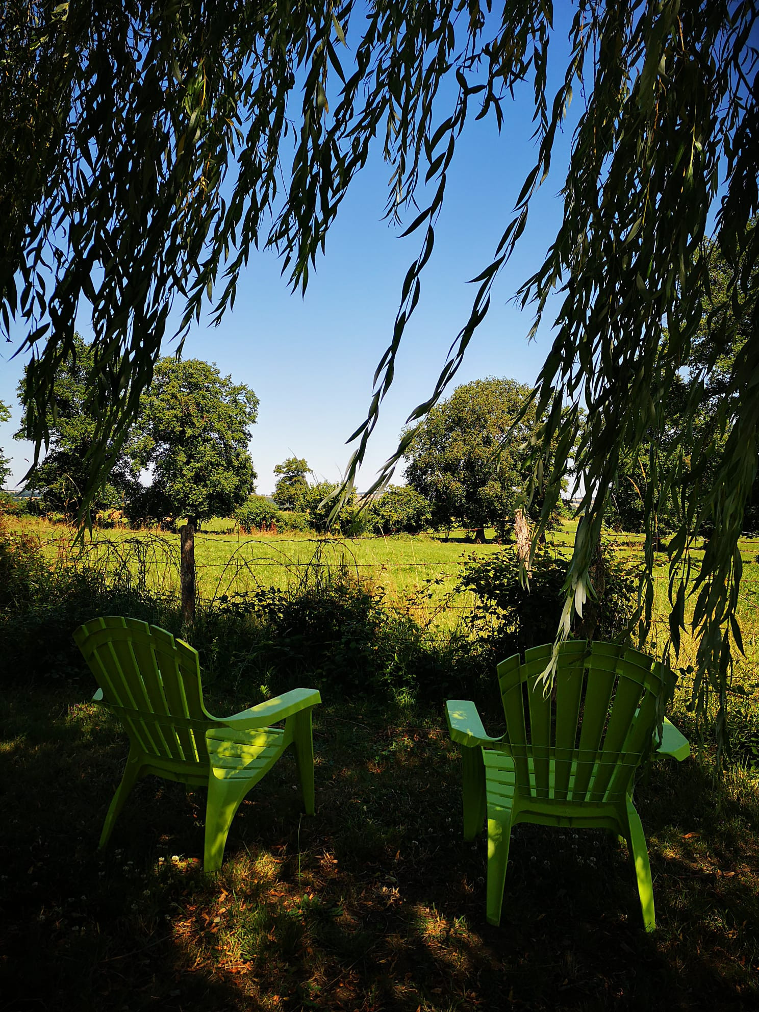 GreenGo location vacances écoresponsables