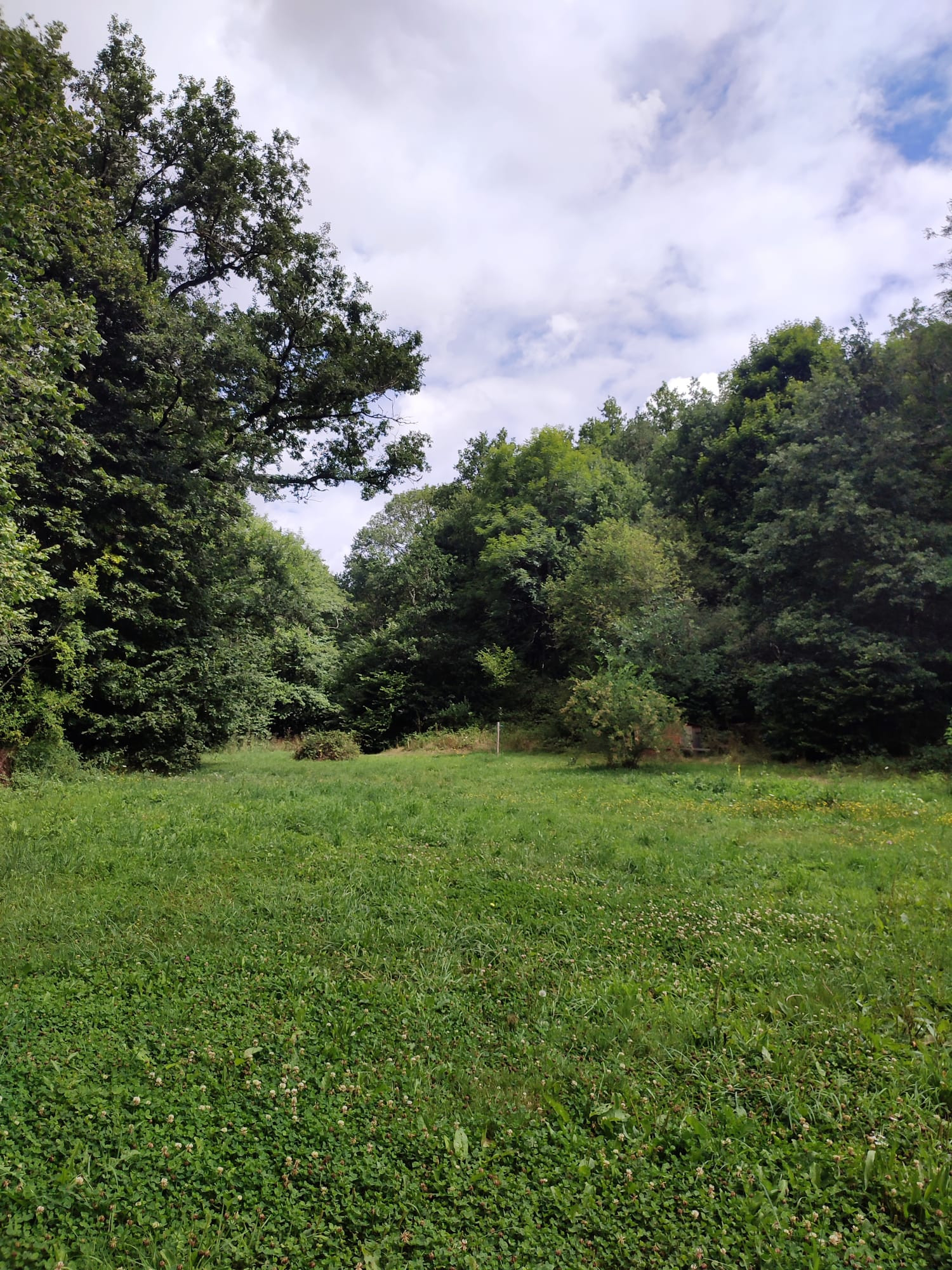 GreenGo location vacances écoresponsables