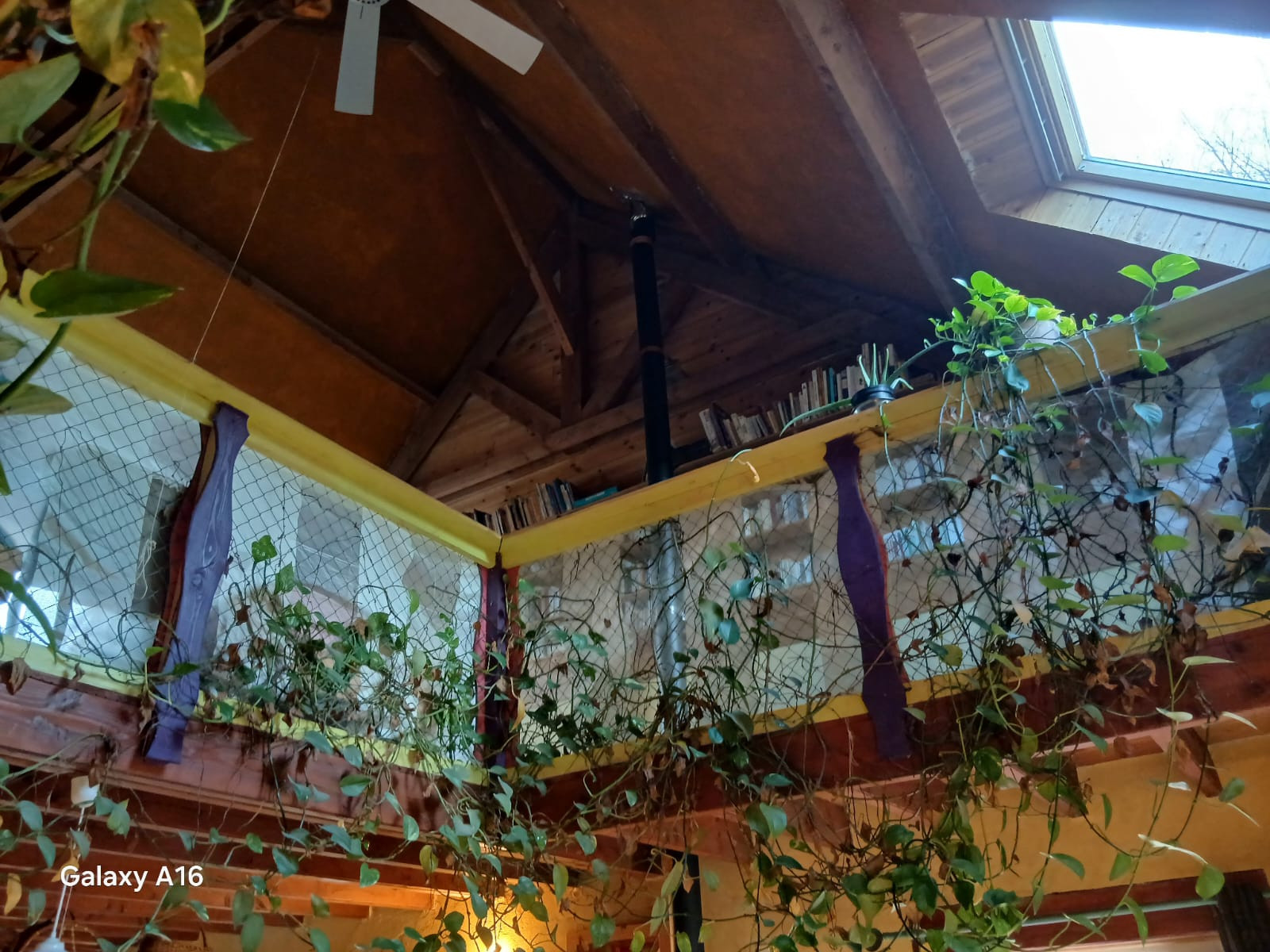 GreenGo Gîte Bretagne À la campagne