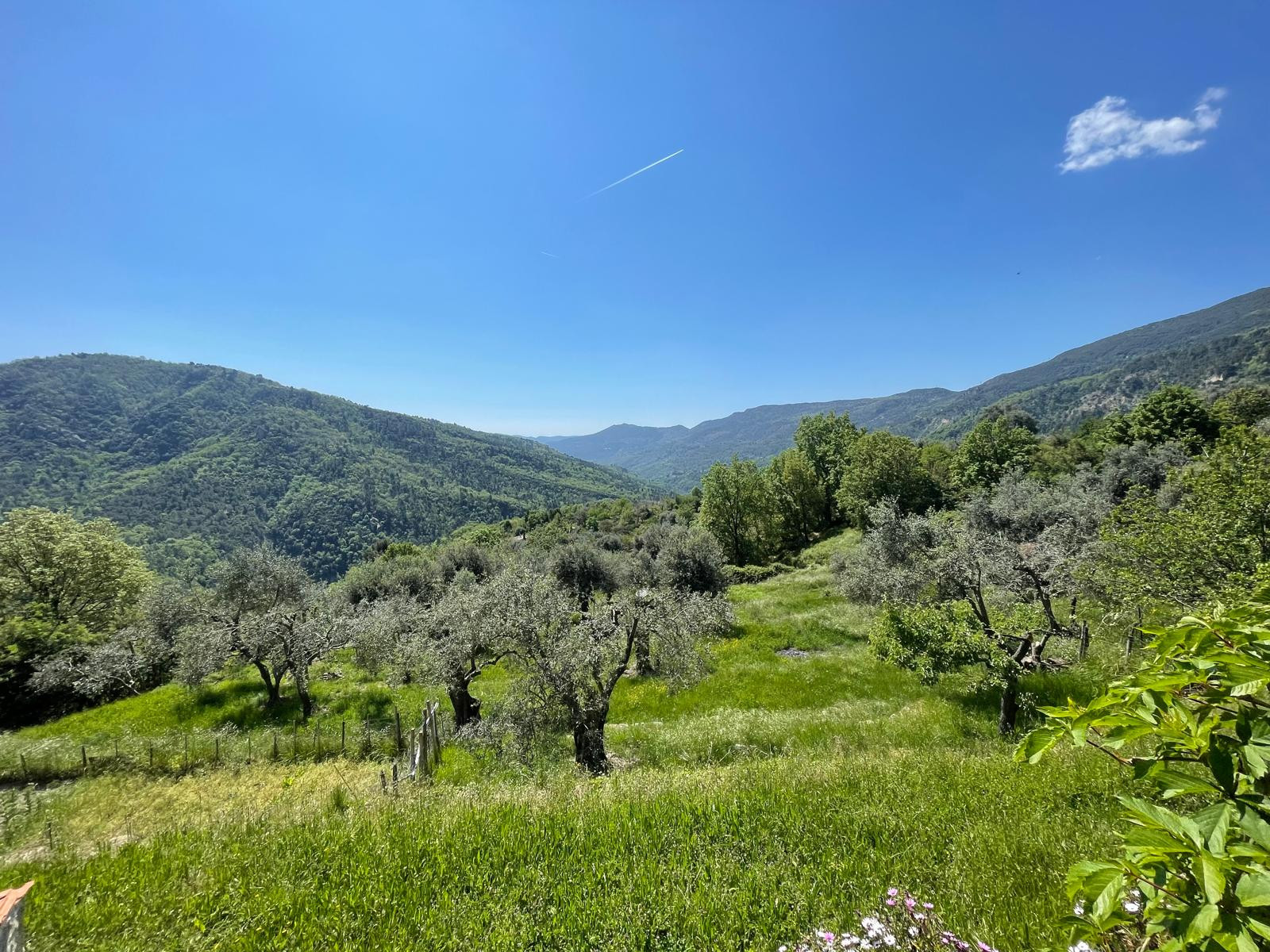 Alpes-Maritimes À la campagne