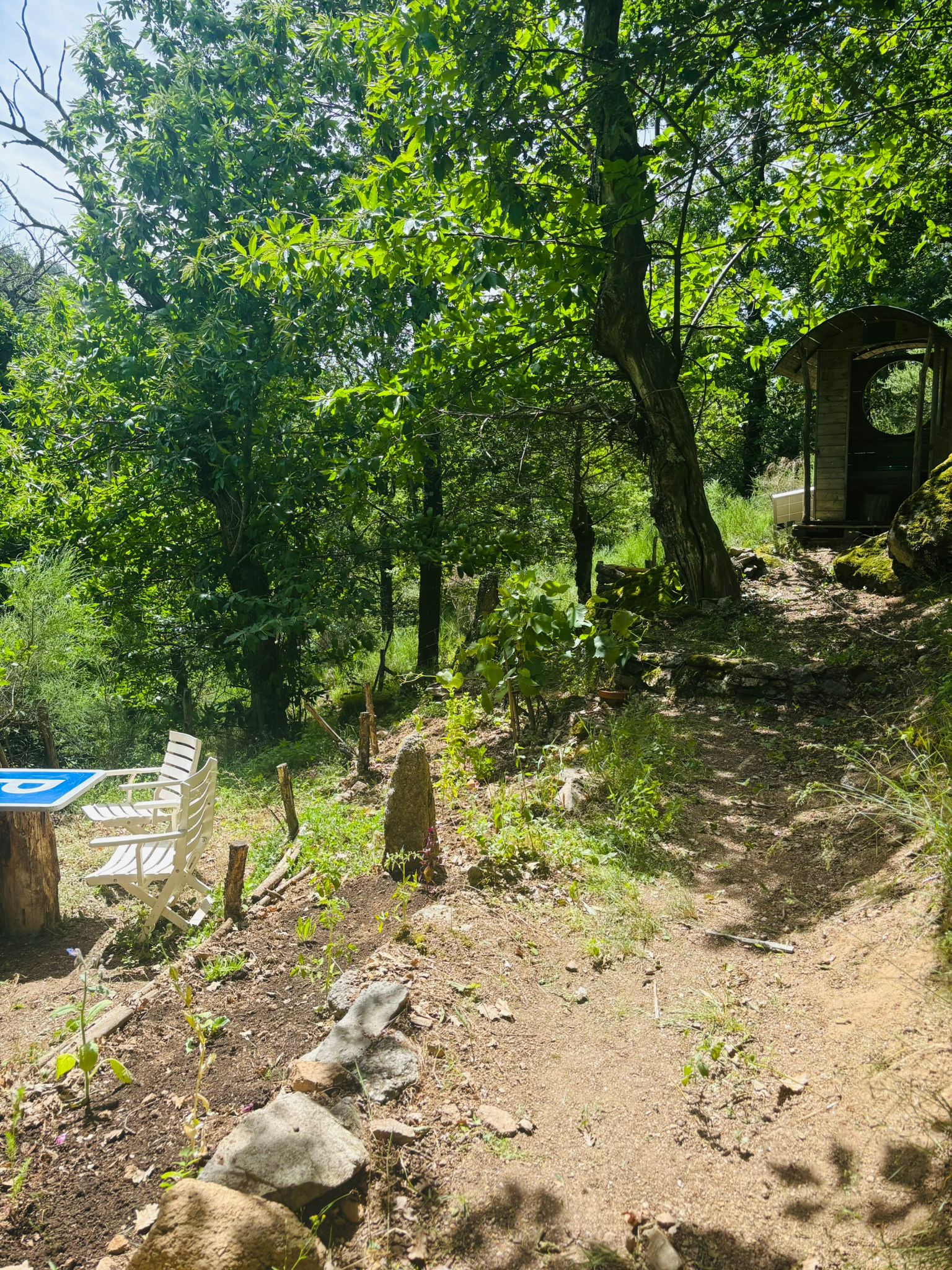 GreenGo La chouette cabane