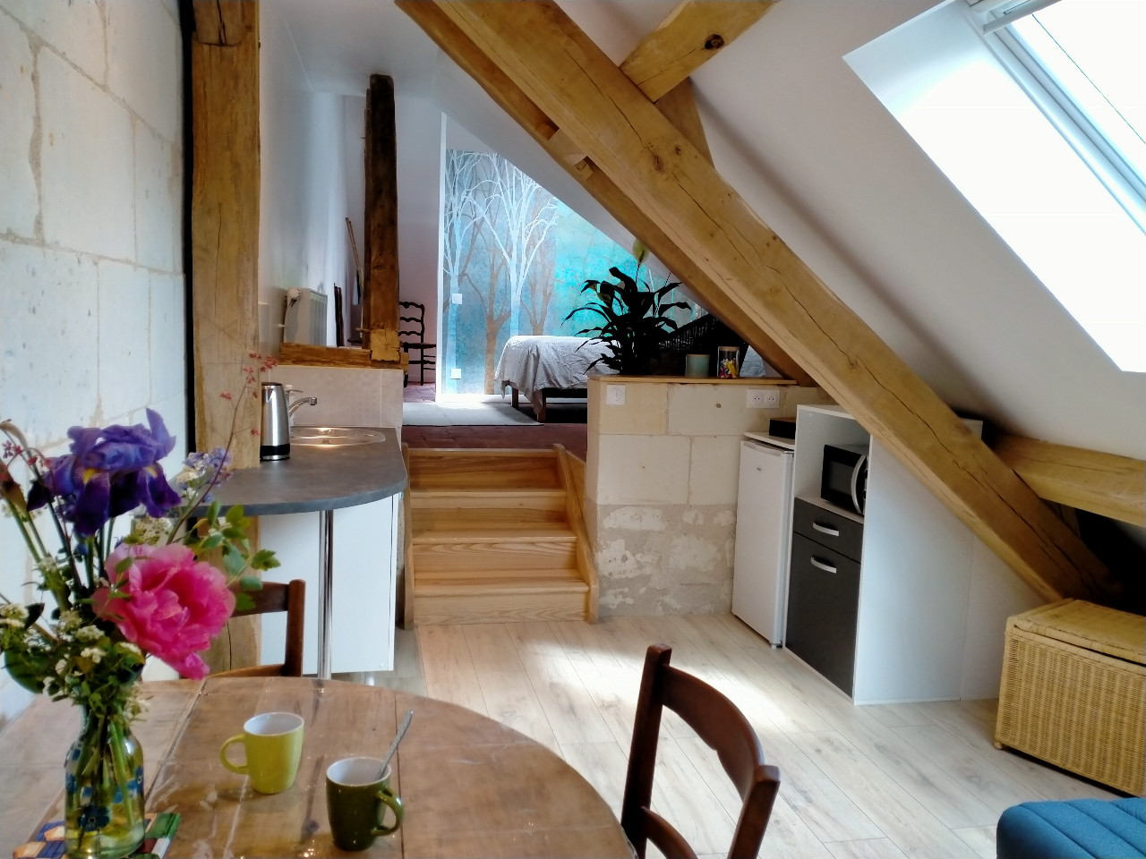 Location Indre-et-Loire Romantique