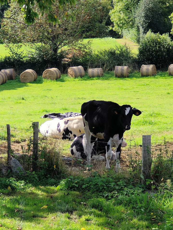 GreenGo Gîte Normandie Évasion